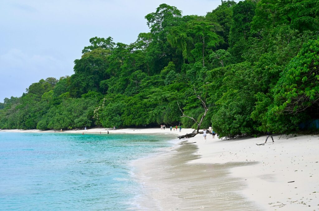 andaman-nicobar-global-echo
