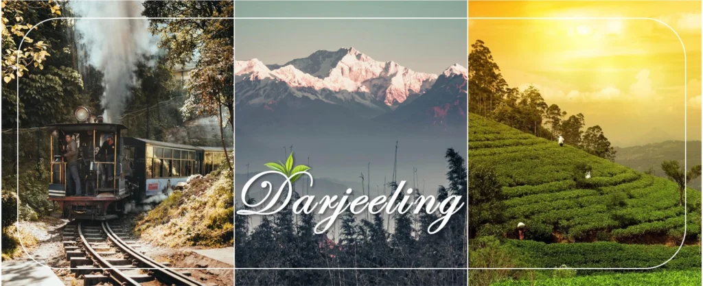 darjeeling-global-echo