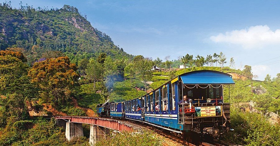 darjeeling-global-echo